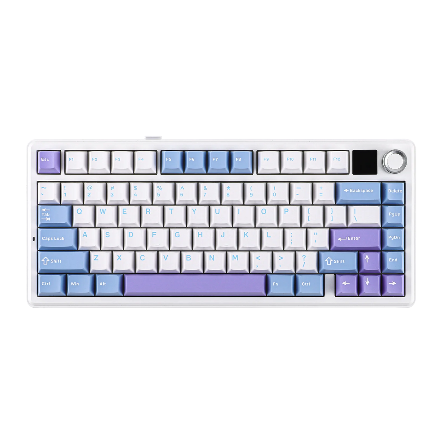 Keyboard with blue and purple keycaps on a white background
