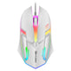 Gaming mouse with colorful LED lighting on a white background, branded as Skylion.